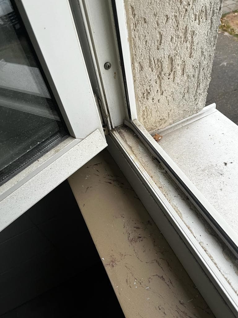 Glasreinigung - Bild 3