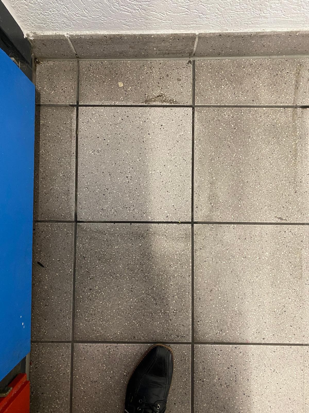 Grundreinigung - Bild 3